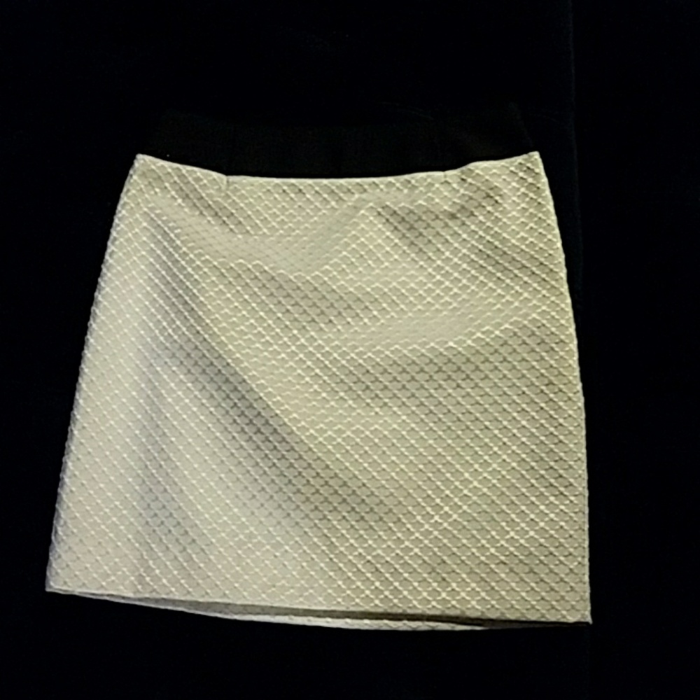 Worthington Silk Lined Embroidered White Skirt